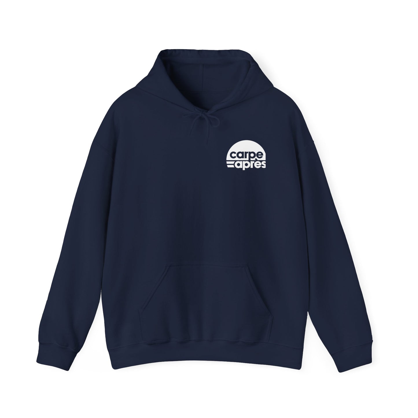 Carpe Après - Pickleball - Hoodie (Small graphic on front, large graphic on back)
