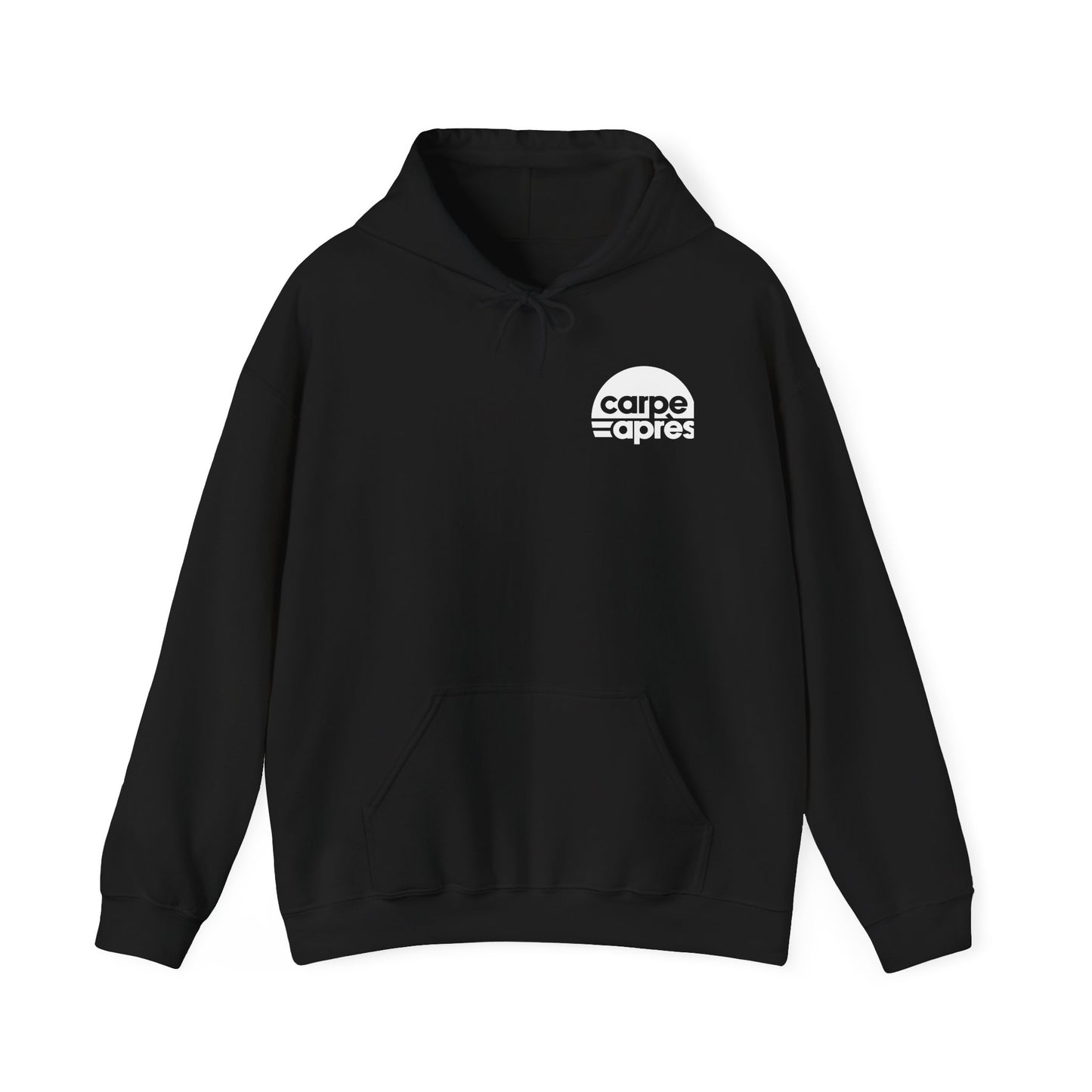 Carpe Après - Pickleball - Hoodie (Small graphic on front, large graphic on back)