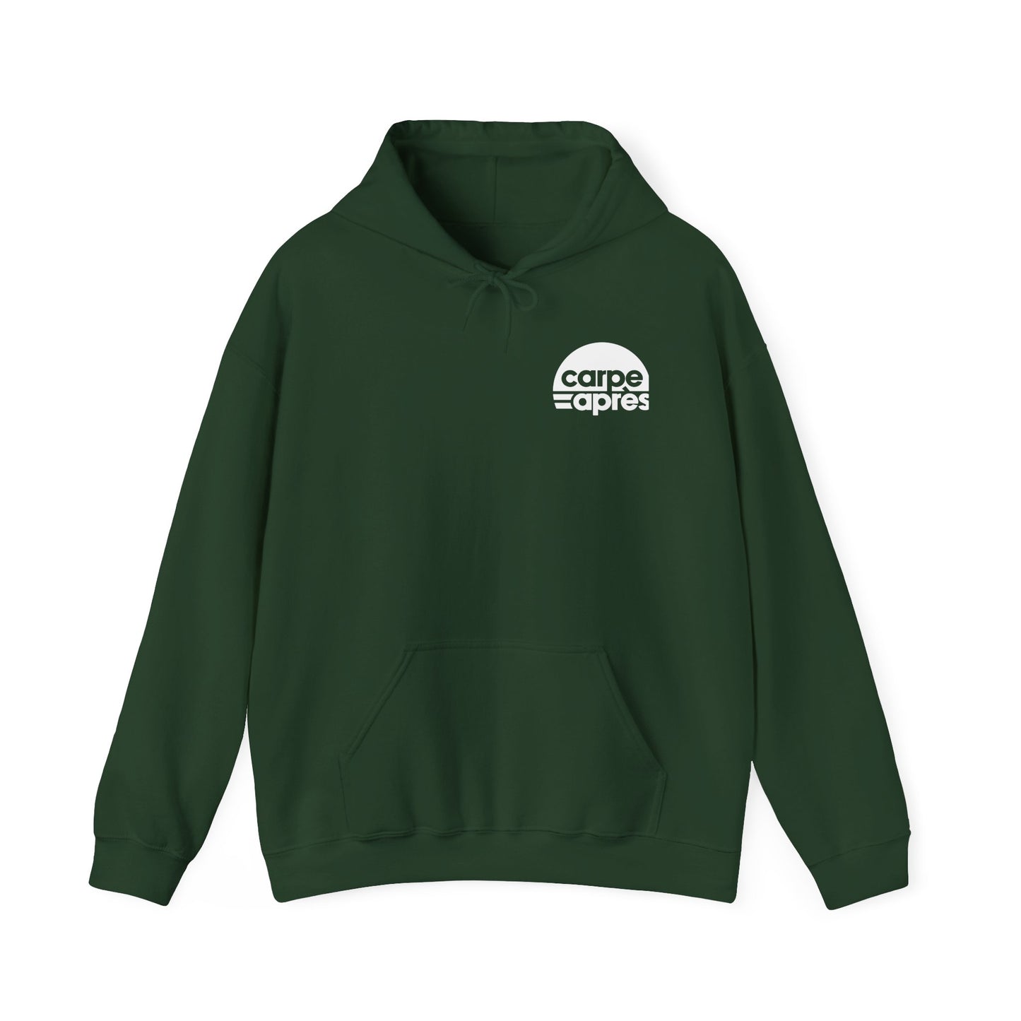 Carpe Après - Pickleball - Hoodie (Small graphic on front, large graphic on back)
