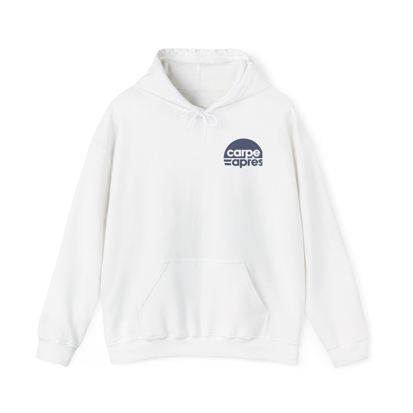 Carpe Après - Pickleball - Hoodie (Small graphic on front, large graphic on back)