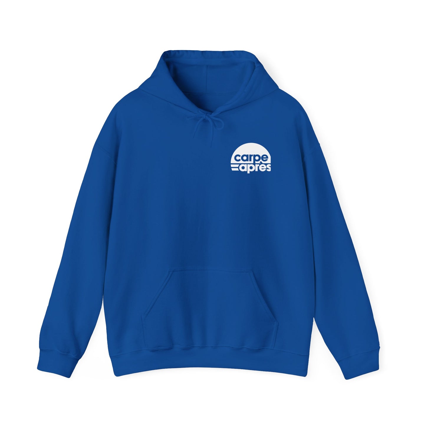 Carpe Après - Pickleball - Hoodie (Small graphic on front, large graphic on back)